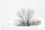 dolce natura dolce natura