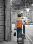 Colori Colori
