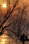alba autunnale alba autunnale