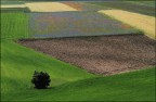 I colori della Terra I colori della Terra