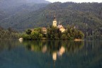 bled bled
