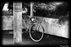 bicicletta bicicletta