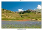 La Fioritura di Castelluccio di Norcia La Fioritura di Castelluccio di Norcia