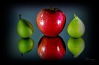 The Fruits The Fruits