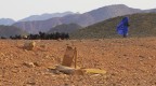 cercando il pascolo cercando il pascolo