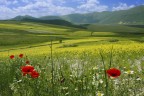 Castelluccio di Norcia Castelluccio di Norcia