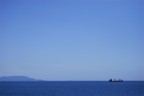 Blu Blu