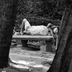 Siesta 3 Siesta 3