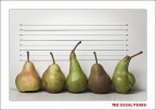 The Usual Pears The Usual Pears