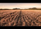 Campagna Campagna