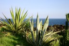 SICILY SICILY