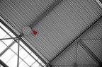 Cuore in trappola Cuore in trappola