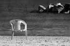 Assente.. Assente..