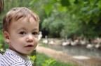 Gabriel_1