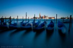 venezia venezia