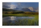 Peat bog Peat bog