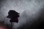 nebbia artificiale