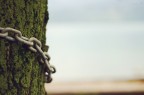 Unchain me! Unchain me!