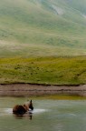 Campo Imperatore Campo Imperatore