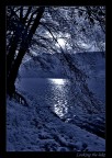 Looking the lake Looking the lake