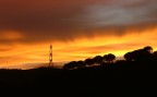 gli alberi, il traliccio e tutto quanto... gli alberi, il traliccio e tutto quanto...