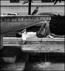 IMG_4850 IMG_4850