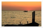 Momenti di........