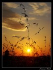 Tramonto Tramonto