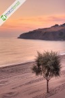Un'alba tranquilla Un'alba tranquilla