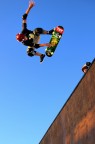 Fly n.1 Fly n.1