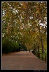 Green Park - London Green Park - London