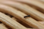 alla ricerca di nuovi mondi... alla ricerca di nuovi mondi...