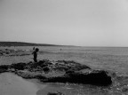 Pesca Pesca