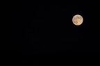 Luna su fondo nero Luna su fondo nero