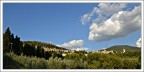 assisi assisi