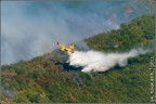 Canadair in azione sul Vesuvio il 31 Agosto 2011.
Canon 30d + Canon EF-S 55-250 @ 250mm