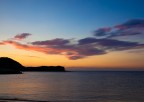 alba alba