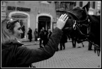 carezze equine carezze equine