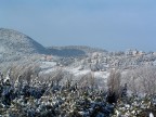 neve neve