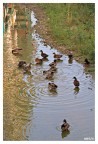 bagni paperina ore 7 di mattina bagni paperina ore 7 di mattina