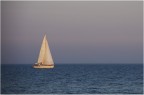Vela Vela