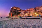 Scilla Scilla