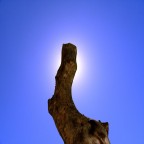 solanas
piscina
estate 2007
samsung compatta