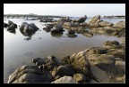 Rocks Rocks