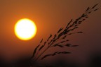 Calore dorato Calore dorato