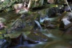 Acqua Classica Acqua Classica