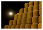 Luna di miele Luna di miele