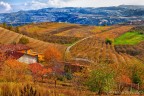 Langhe Autunno 2008 (seconda) Langhe Autunno 2008 (seconda)
