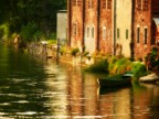 PANASONIC FZ-50
f/5
ISO 200
1/250"
86mm
Naviglio Grande, Bernate (MI)