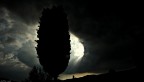 tempo da lupi.... tempo da lupi....